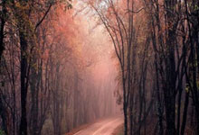 尤文图斯遭遇意外失利，一触即发